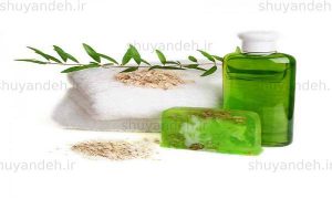 کارخانه جات تندیس