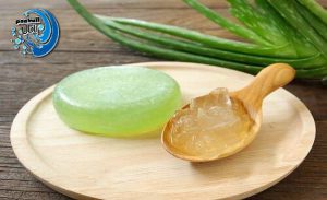 صابون پژمان